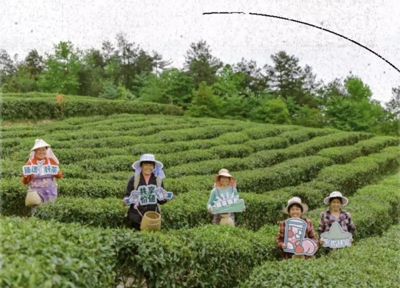 新茶饮市场产业分析：中国新茶饮市场品牌与星巴克之间的角逐