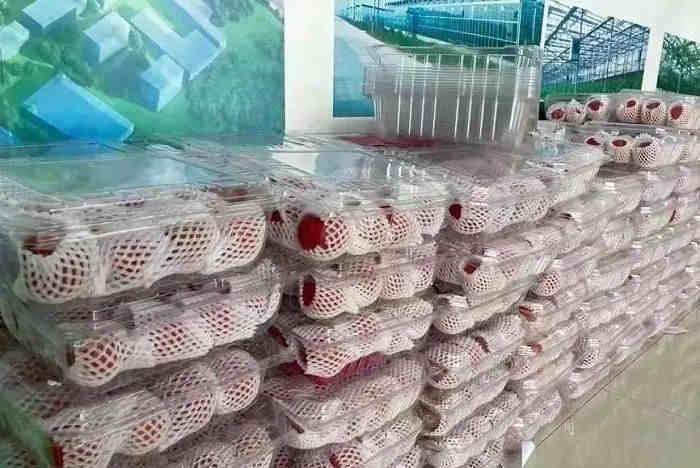 上海疫情零售迷局：找不到的京东阿里，拎不起的社区团购